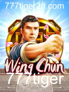 WingChun: Descubra as Regras e a Emoção do Jogo que Conquista o Mundo